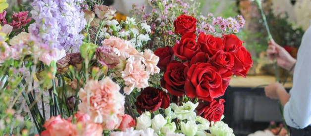 Know all about an online florist